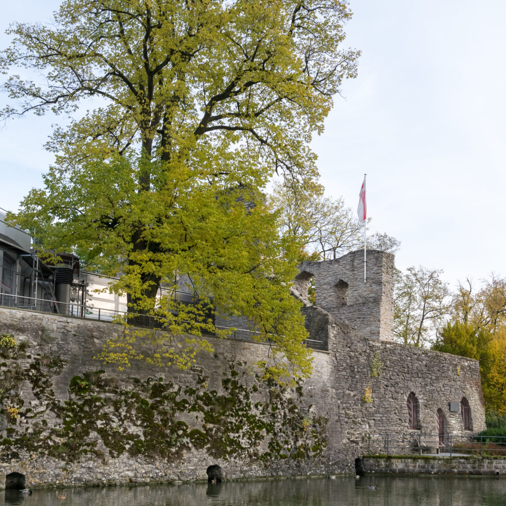 Die Burgruine in Bad Lippspringe mit dem Quellbereich der Lippe davor@ Tsungam, Wikimedia Commons.