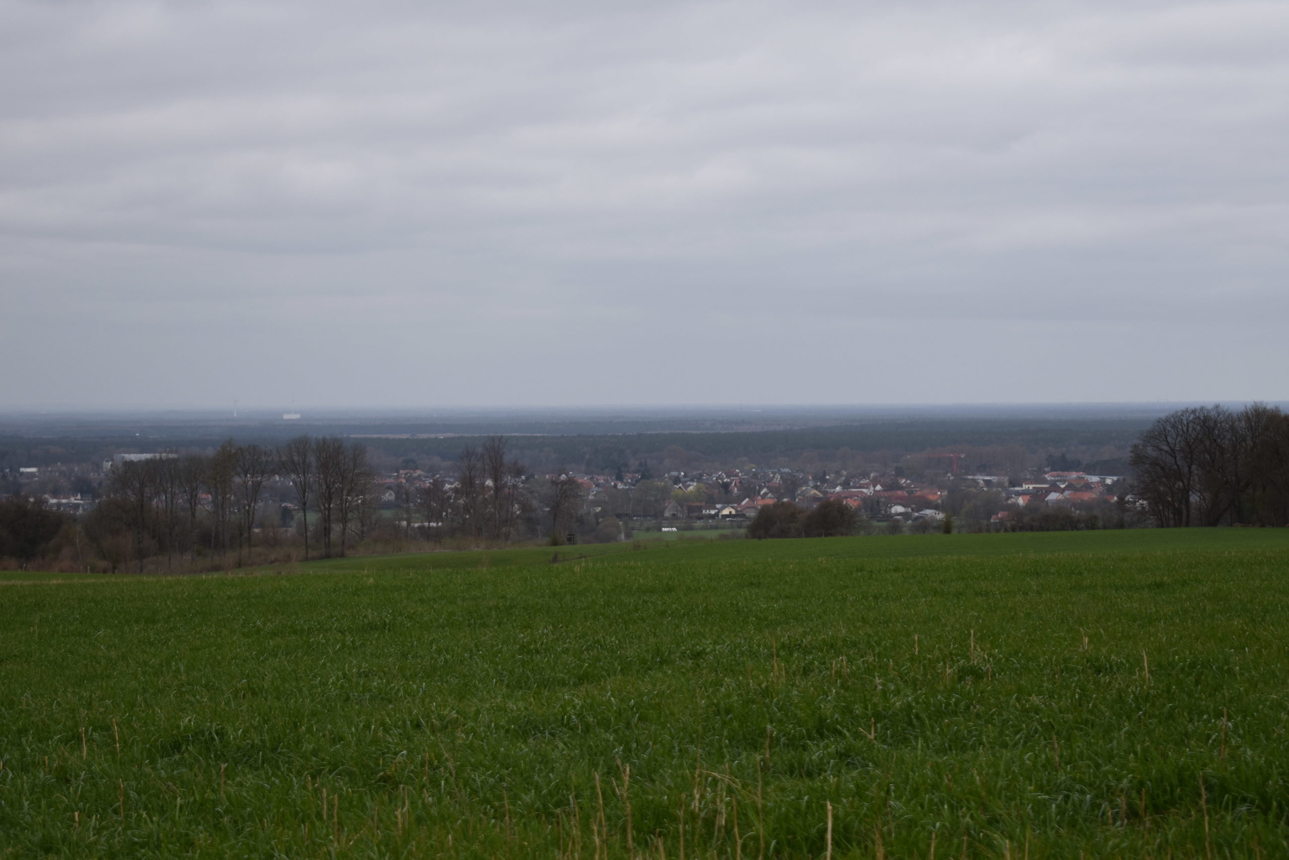Blick auf Schlangen ©Naturpark